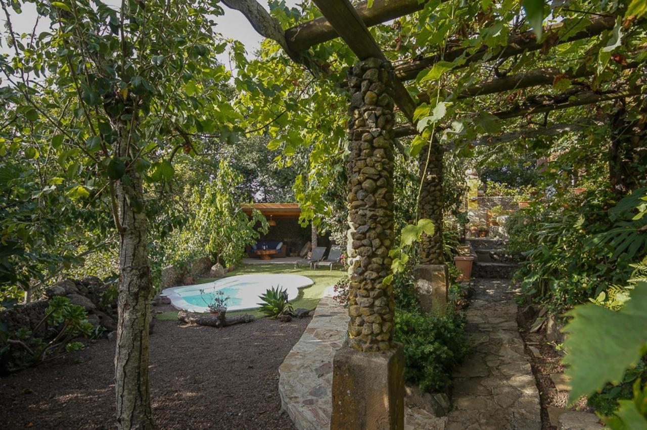 Villa Los Matos Pool And Garden Valleseco Экстерьер фото
